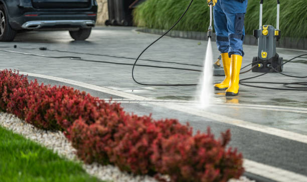 Best Window and Screen Pressure Cleaning in Cameron Park, TX
